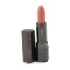 Shiseido Perfect Rouge 2 Shiseido Perfect Rouge -MAC || Clinique || Christian Dior Shop 213008